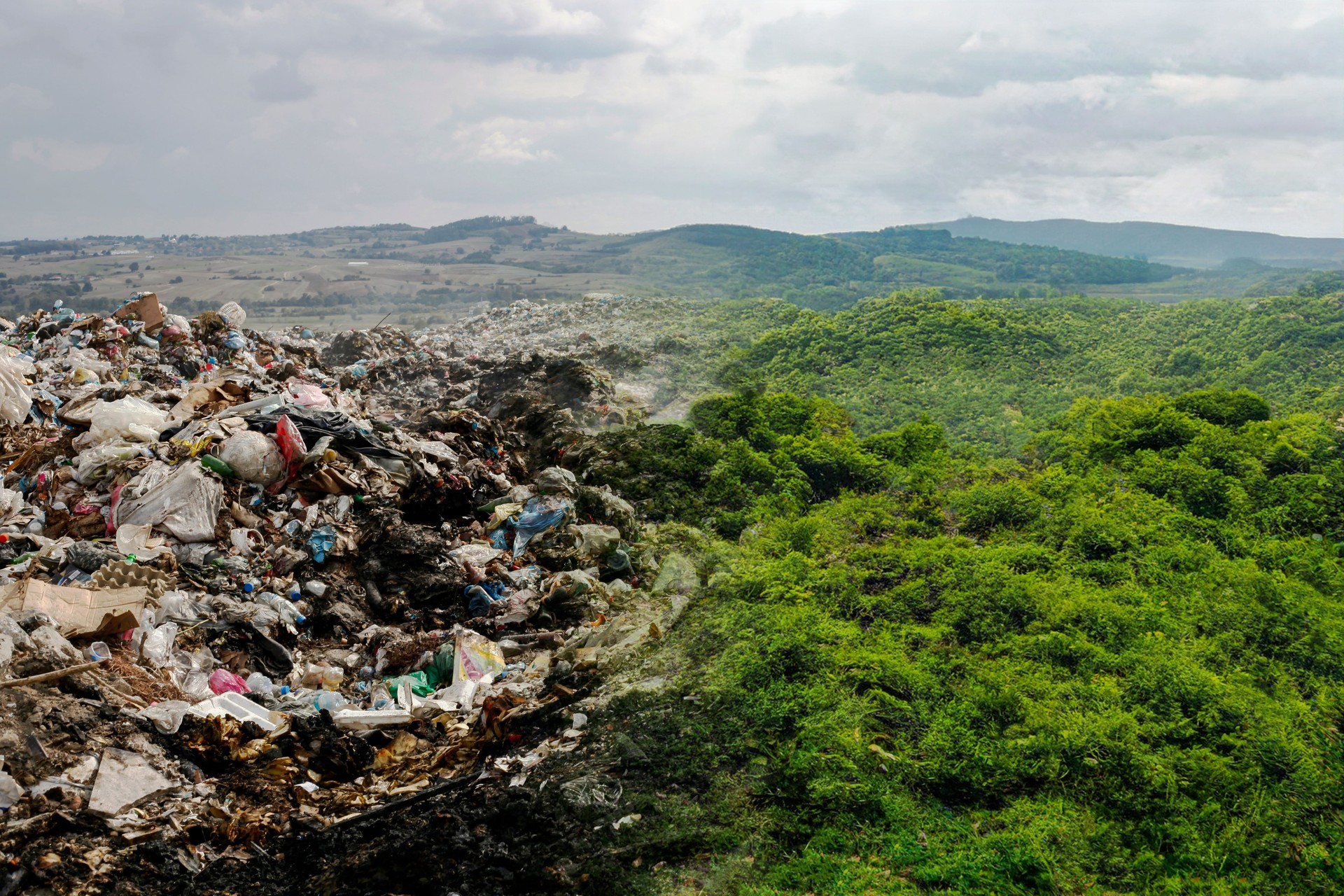 if people don't pollute the environment, world and nature can reborn.